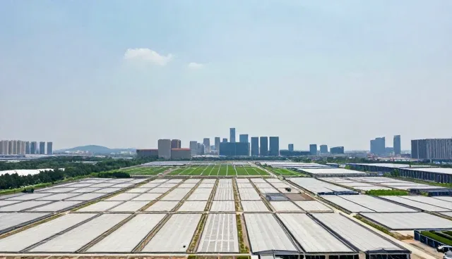 系统平台搭建中常见问题与处理要点